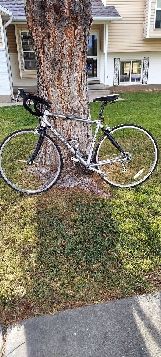 2010 Trek Pilot 2.1 Road Bike