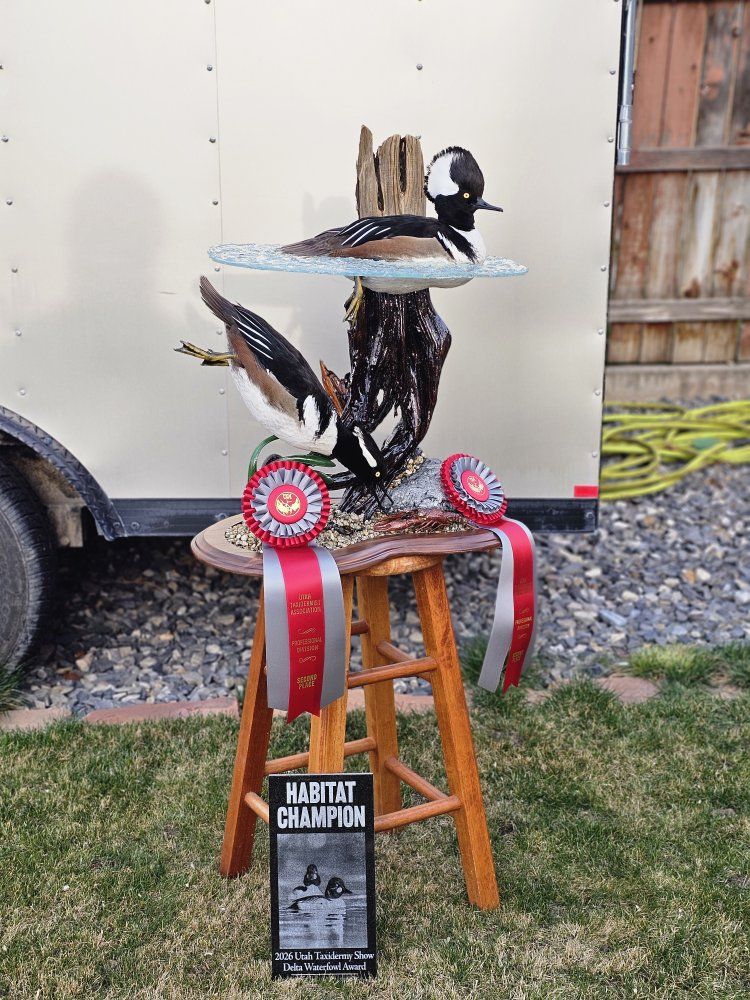 Taxidermist - Big Game/Waterfowl - Utah County