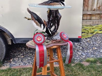 Taxidermist - Big Game/Waterfowl - Utah County