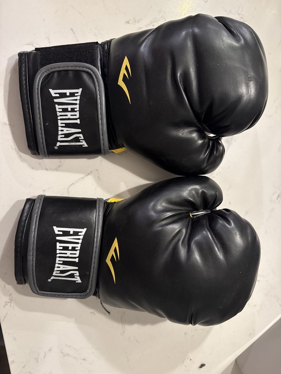 Everlast boxing gloves