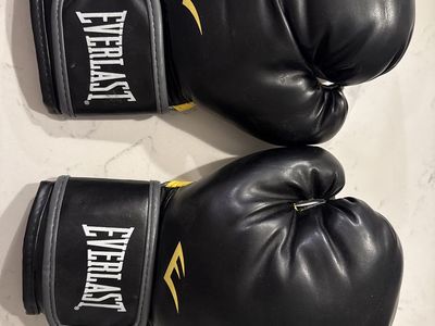 Everlast boxing gloves