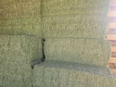 Alfalfa Hay 3x3x8