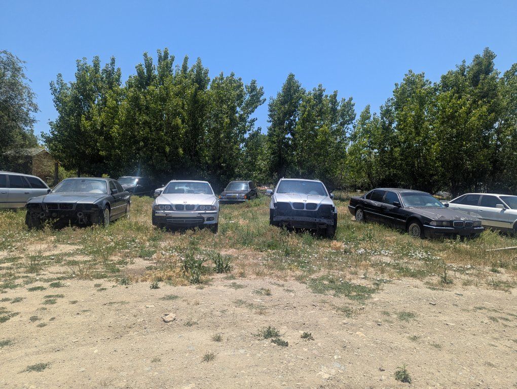 BMW COLLECTION SALE