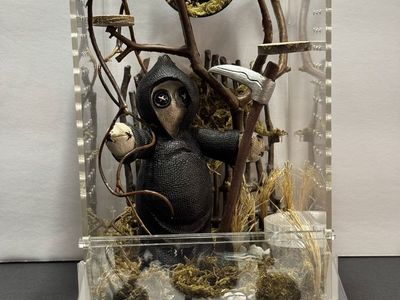 Grim reaper Jumping spider Enclosure