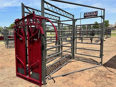 WW Longhorn Chute