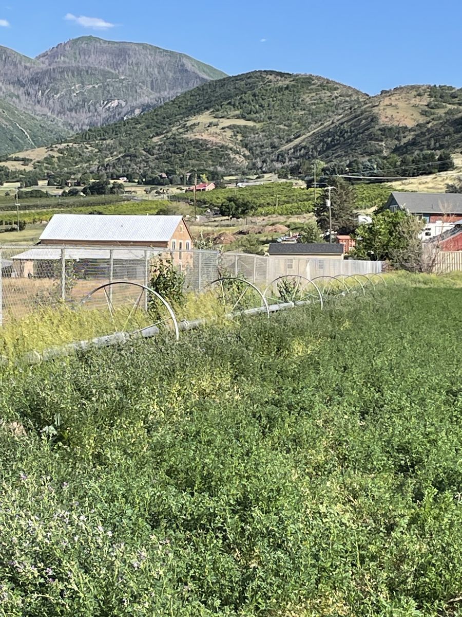 Wheel Line Irrigation