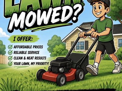 I will mow your lawn for CHEAP