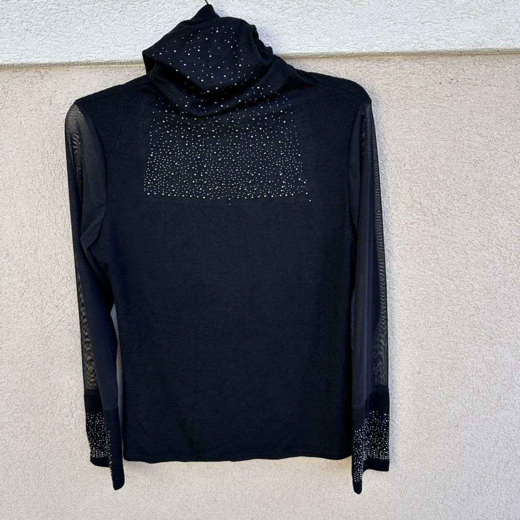 Sheer Black Turtleneck Long Sleeve