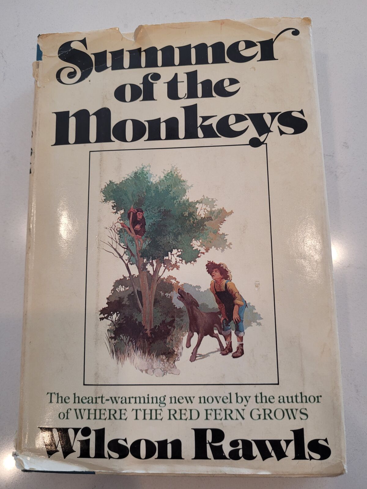 Summer of the Monkeys Original signed copy