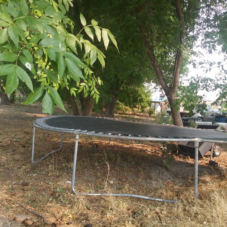 trampoline