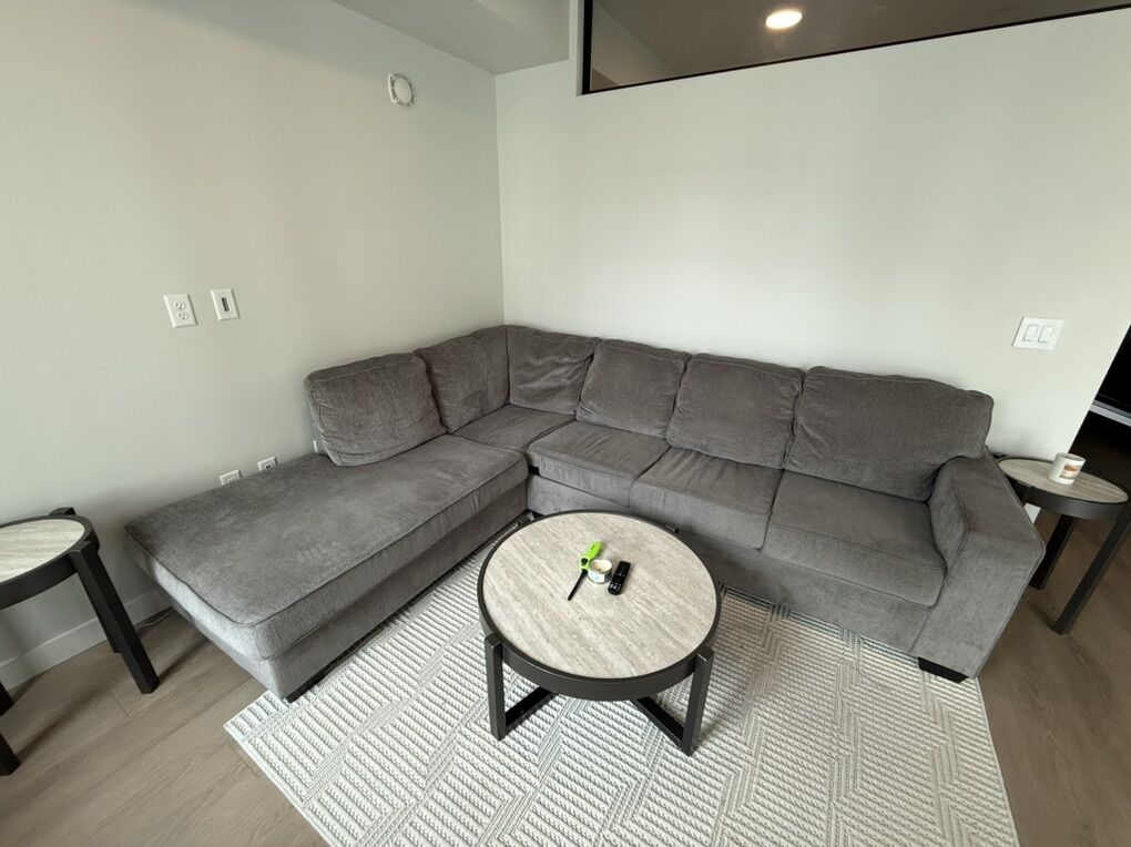 Grey Sectional Couch