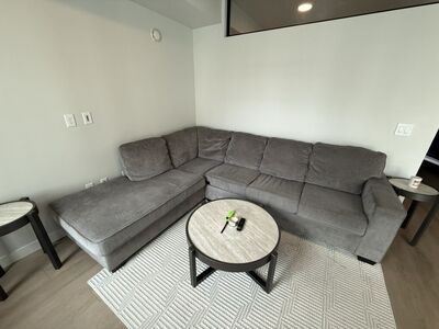 Grey Sectional Couch