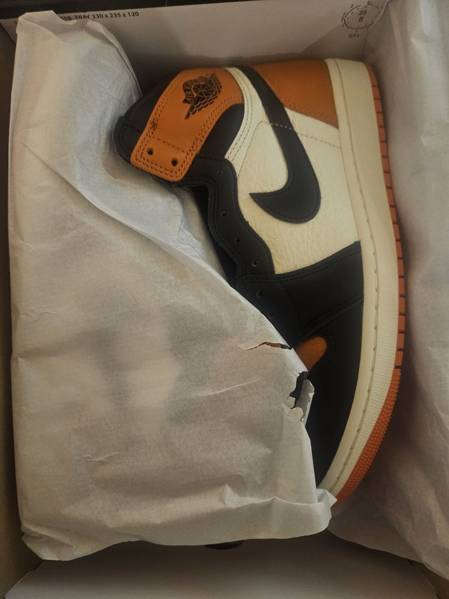 Jordan 1 SBB