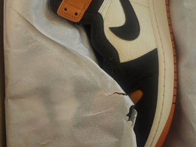 Jordan 1 SBB