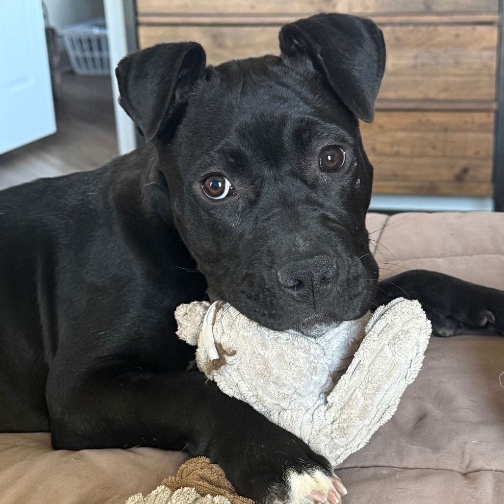 Hello my name is Vidalia