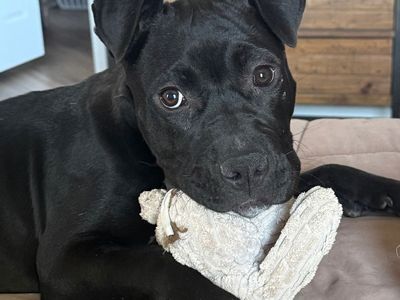 Hello my name is Vidalia