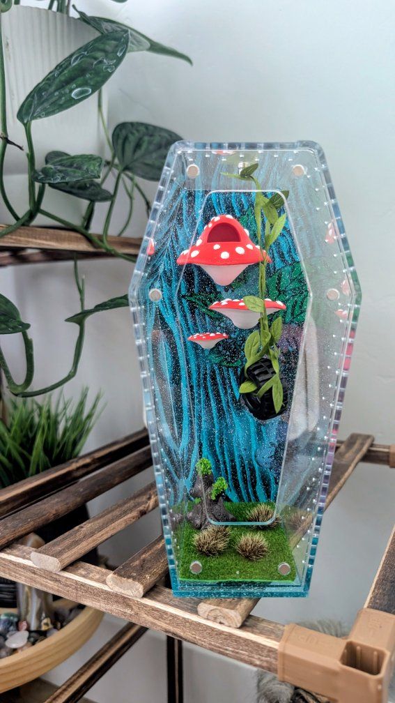 Jumping spider enclosure, spider terrarium, spider house. No spider. Shipping available!