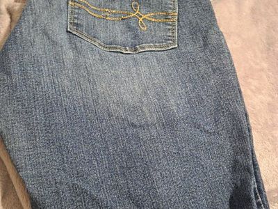 Denizen Levi's Modern Skinny Blue Jeans for Women, Size 14