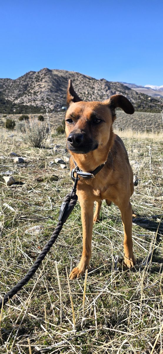 Crue, looking for a bestie