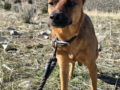 Crue, looking for a bestie