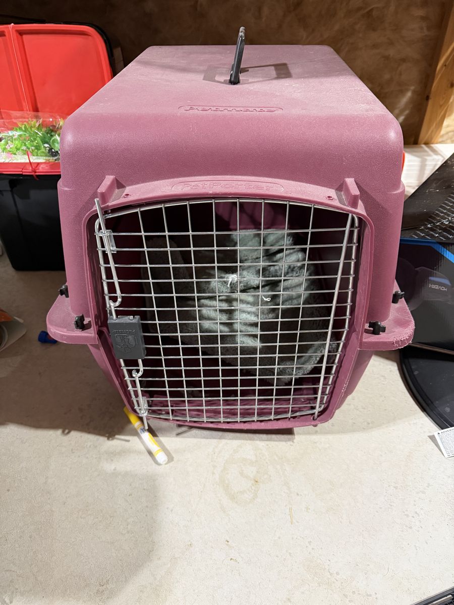 Petmate Hard-Sided Pet Carrier