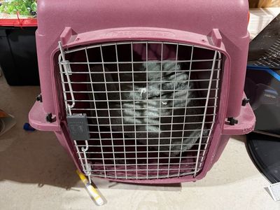 Petmate Hard-Sided Pet Carrier