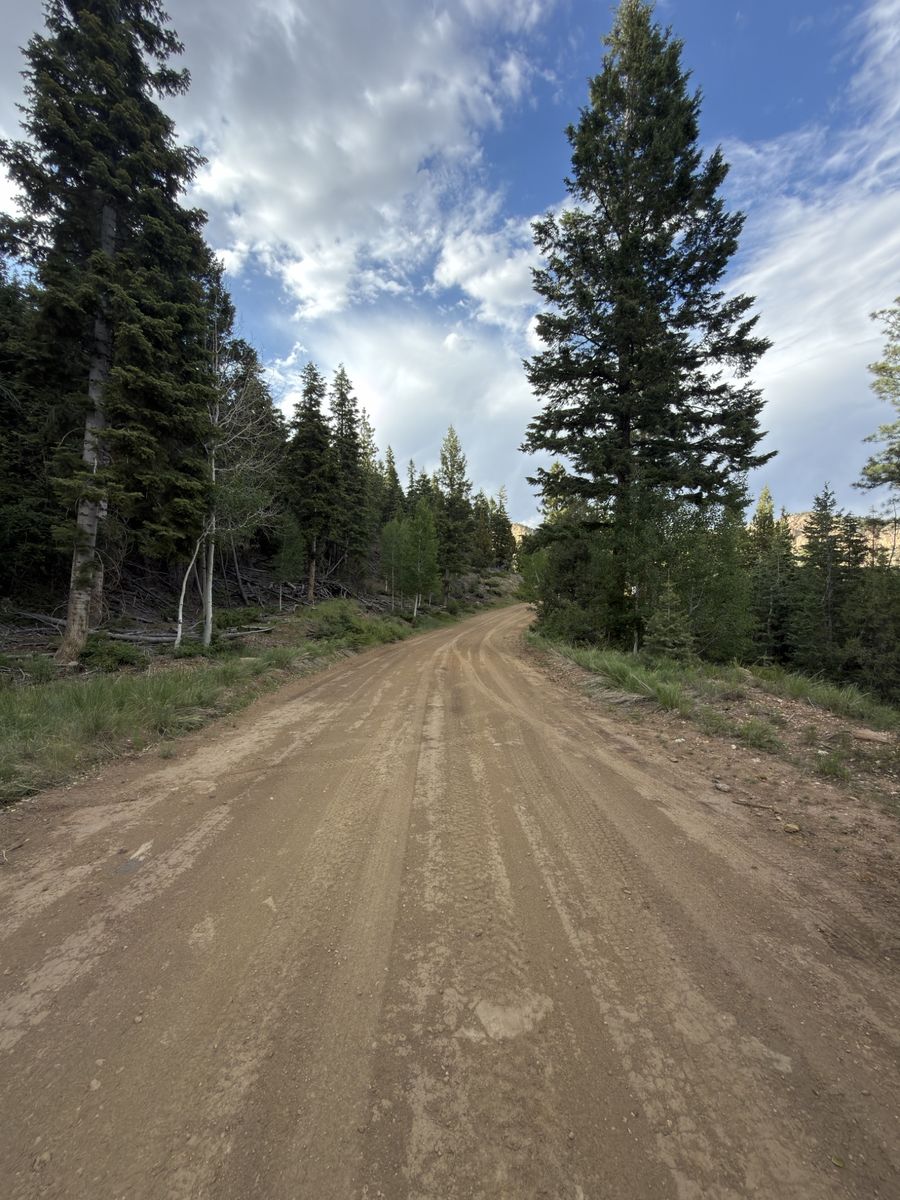 Main image 5