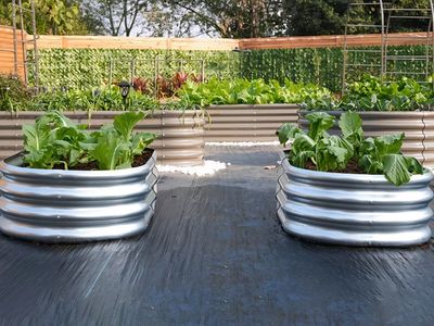 galvanized planter boxes