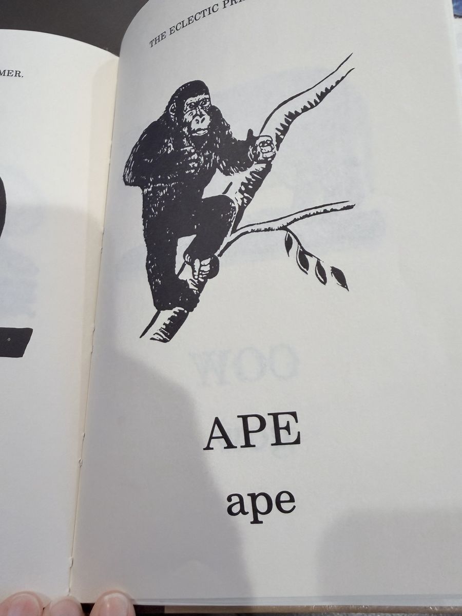Main image 5