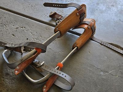 Bashlin 140-DS Climbing Spikes
