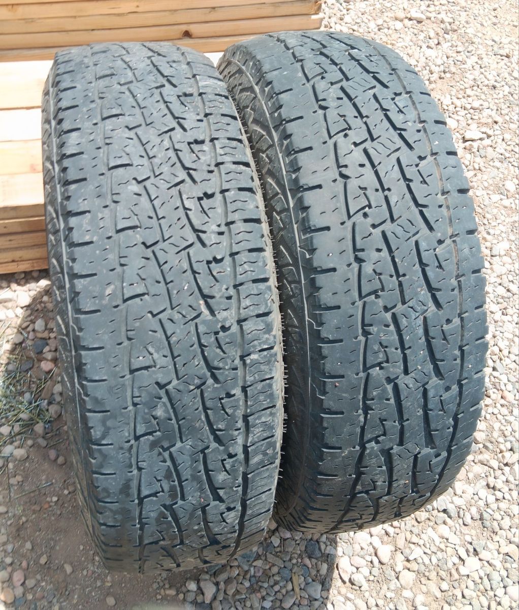 245-75-16 Nexen Roadian AT PRO RA8 Load E Tires
