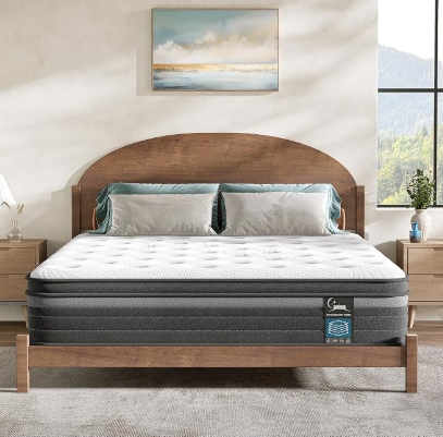 Queen Mattress 12 Inch in a Box, Hybrid Queen Mattress with Memory Foam & Individual Pocket Springs