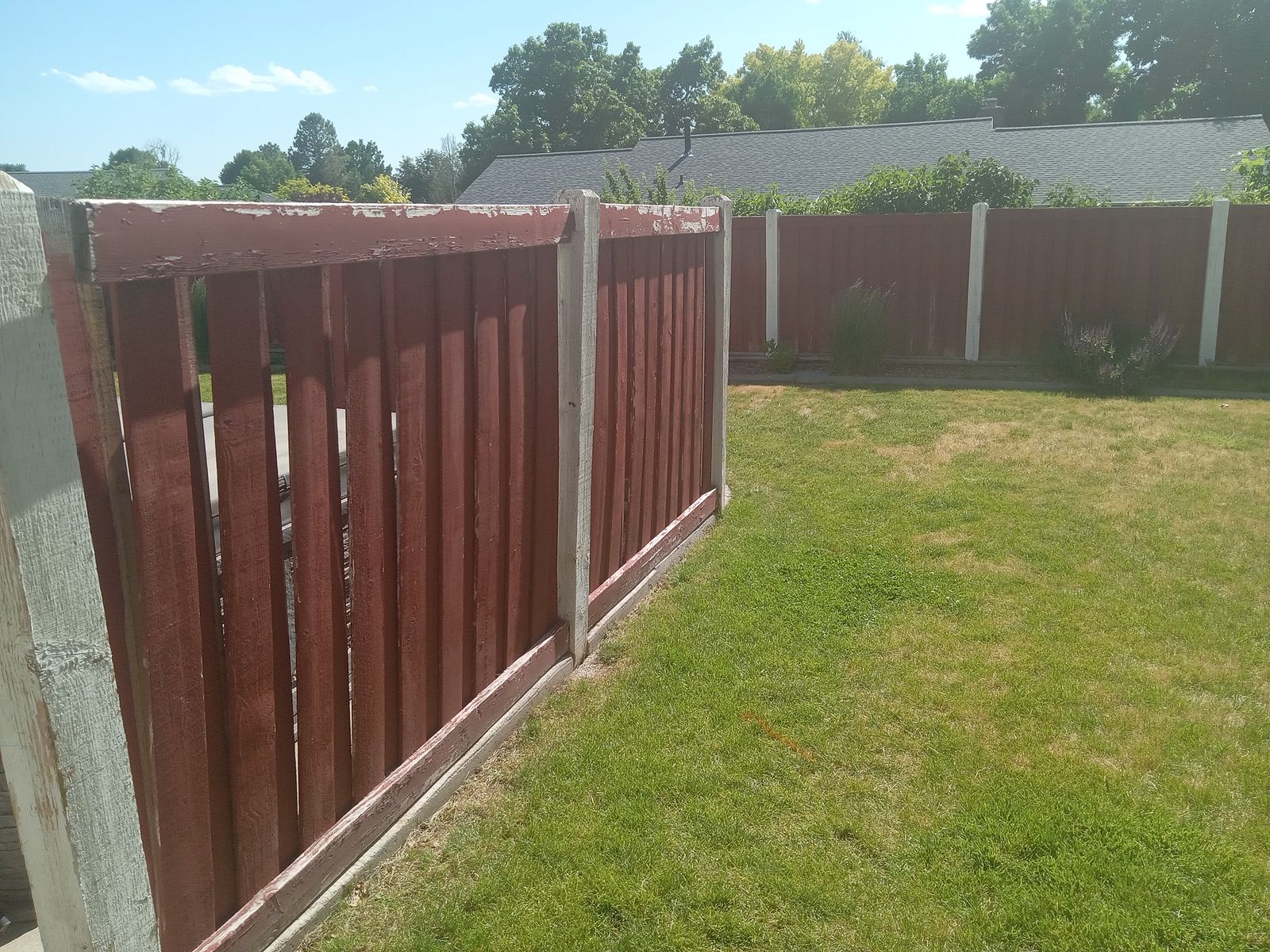 For Rustic wall [No Nails ]1000 red cedar wood fence slats $3/each (can deliver)