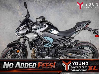 2025 Kawasaki Z900 ABS Galaxy Silver/Metallic Spark Black