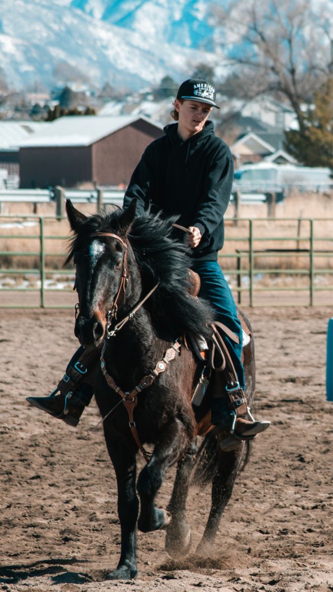 Lease or Trade – 4-Year-Old Mustang Gelding