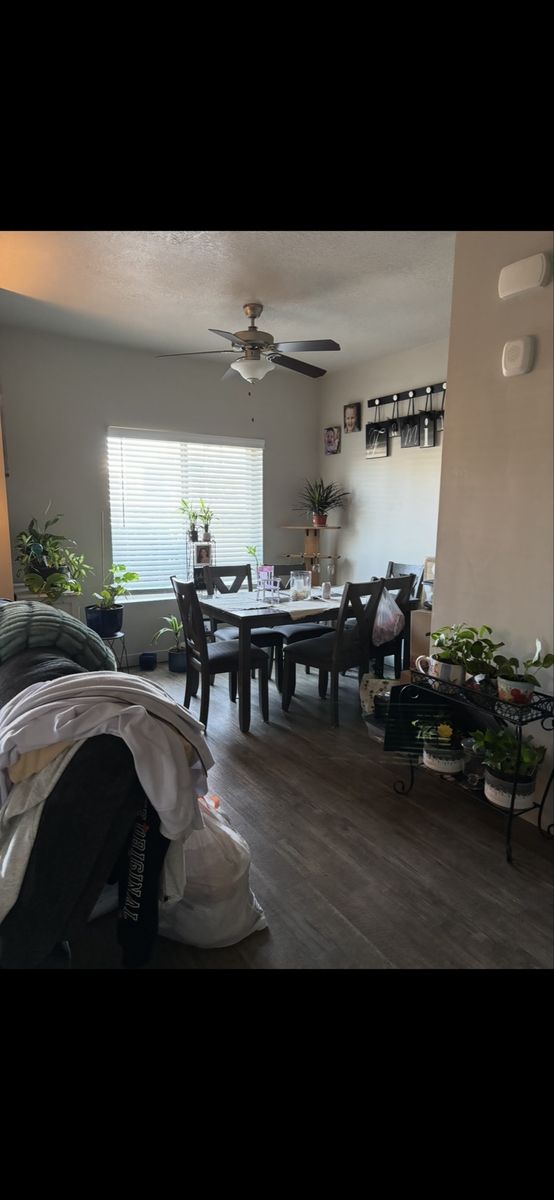 Dining table and chairs