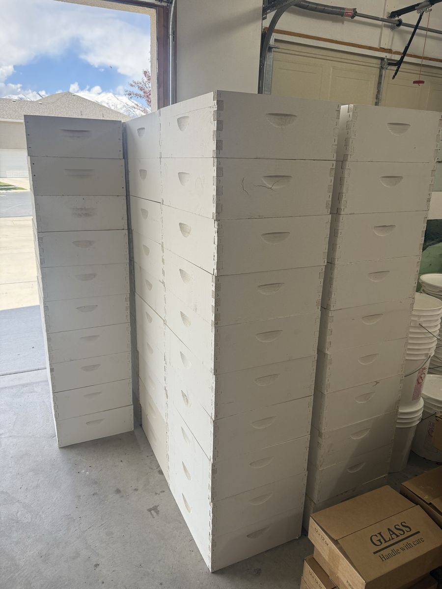 Medium honey supers for beehive & beekeeping