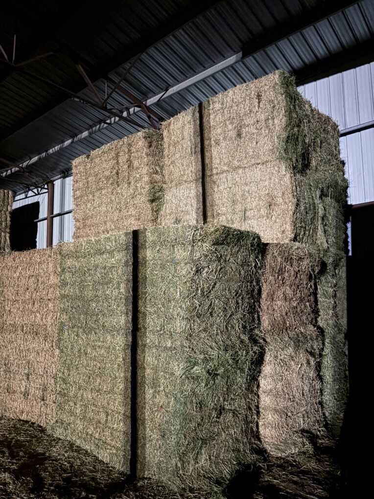 4x4 Alfalfa Hay