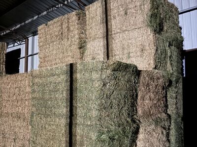 4x4 Alfalfa Hay