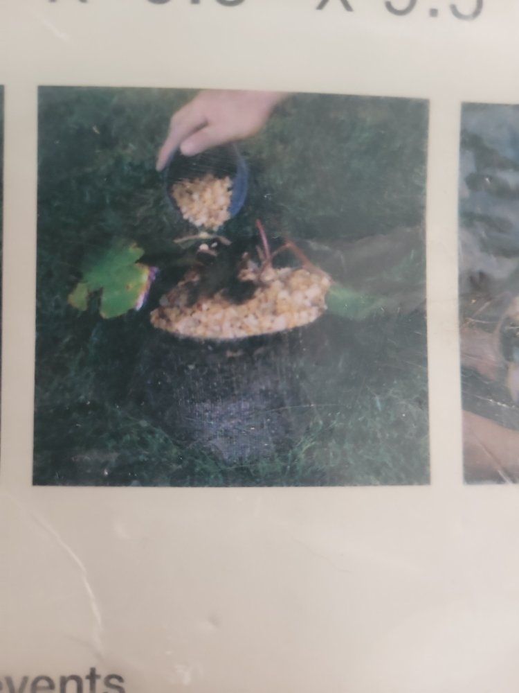 Main image 2