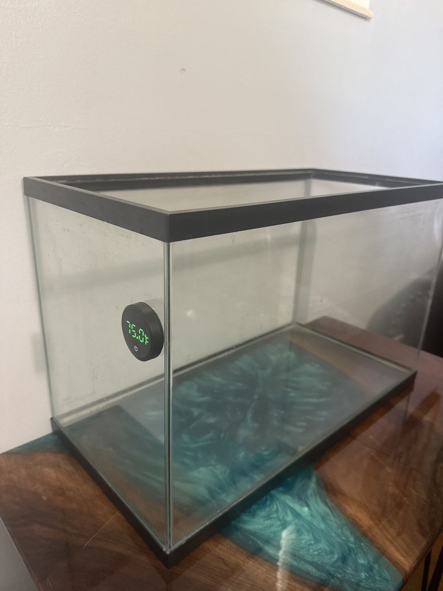 10 gallon aquarium