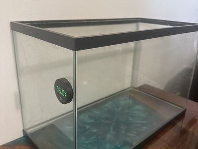 10 gallon aquarium