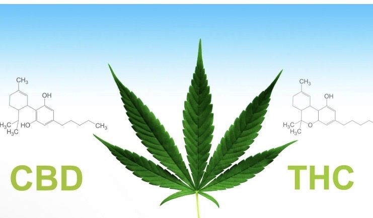 CBD and more.  Discreet confidential pain relief