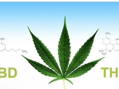 CBD and more. Discreet confidential pain relief