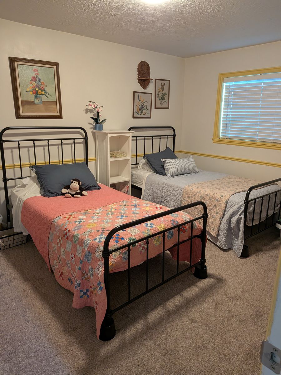 Black metal twin beds