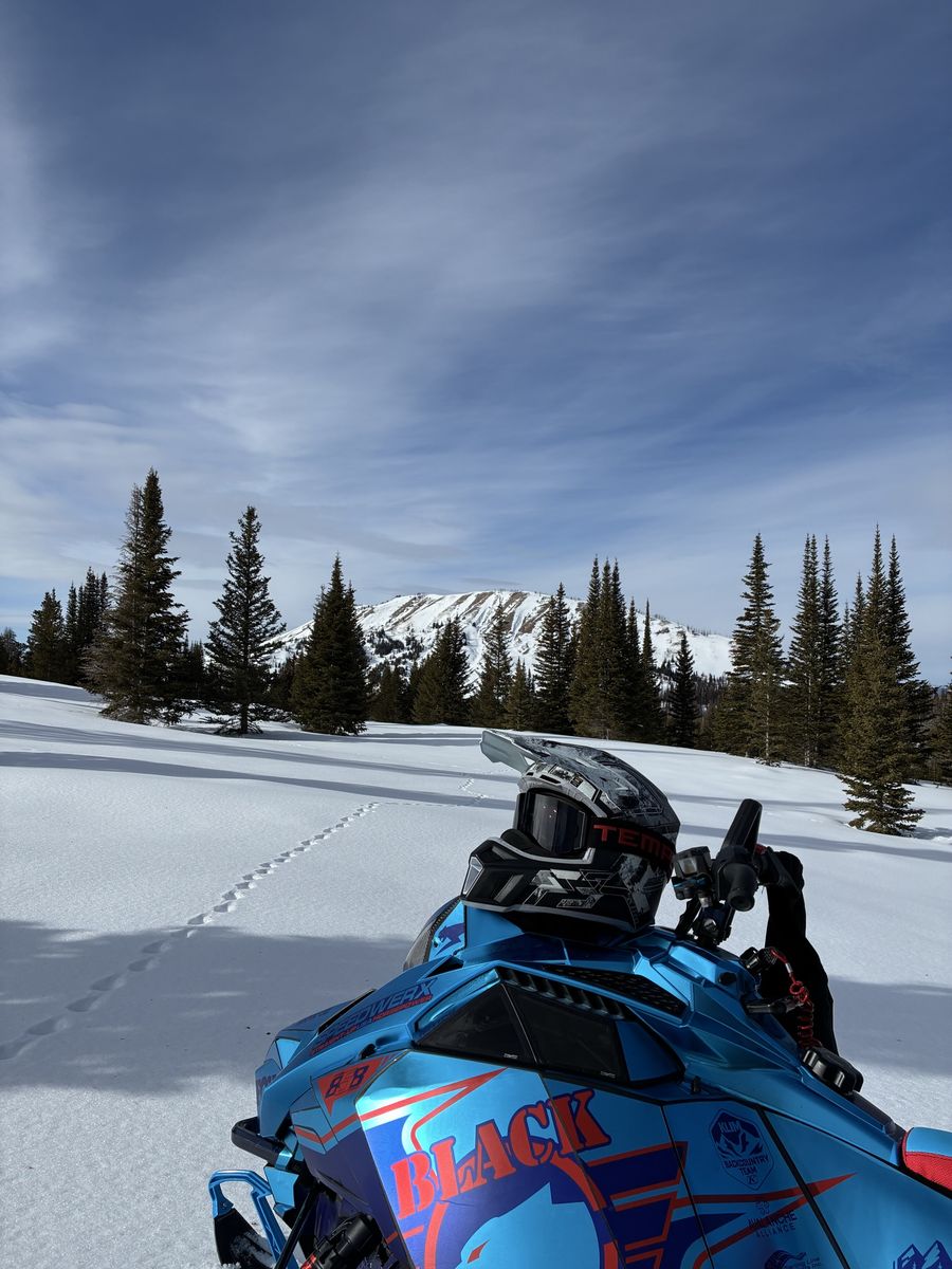 2025 Arctic cat 858 154