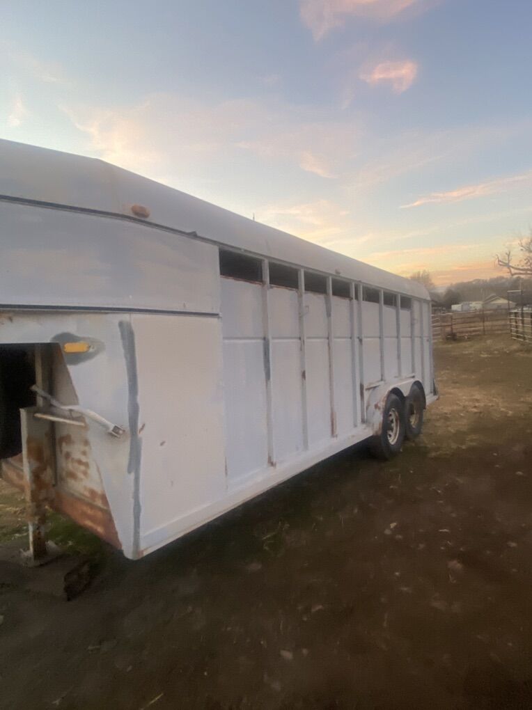 Fifth Wheel Horse Trailer