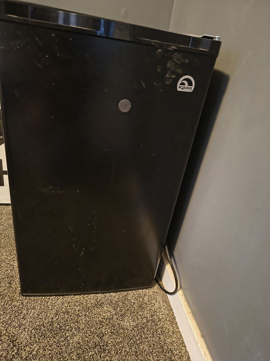 Igloo mini fridge