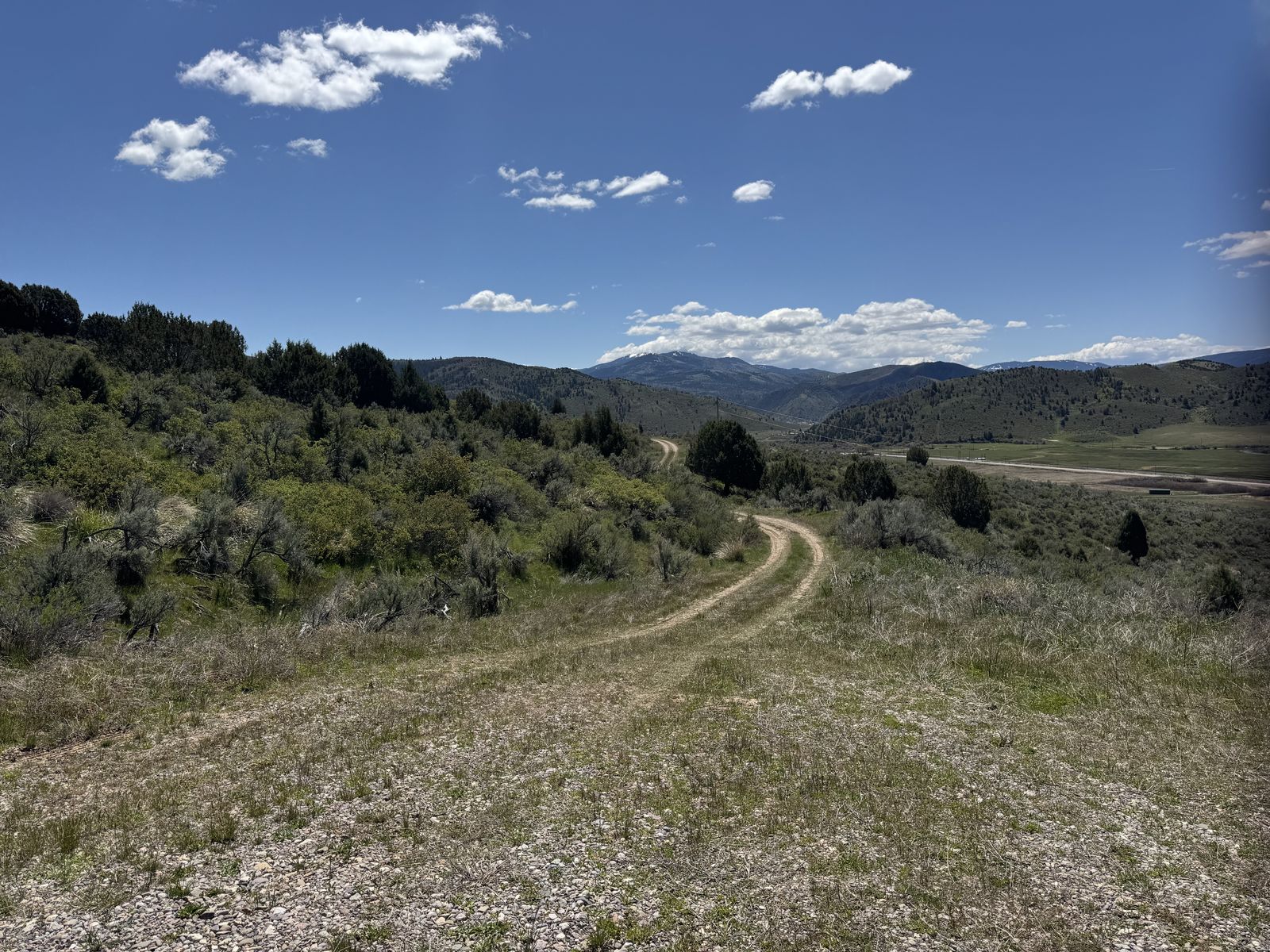 Main image 14