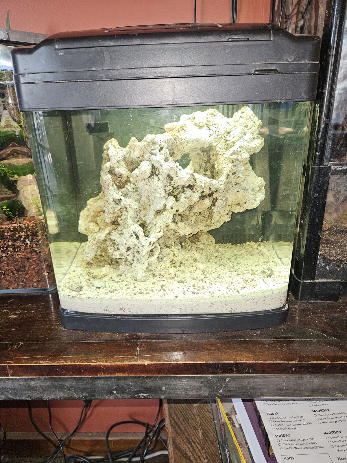 Salt water 8 gal oceanic biocube